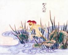 Kappa (Sawaki Sushi) - Muzeo.com