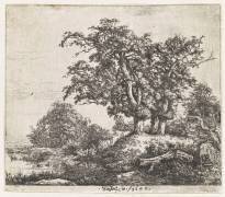 Le bouquet aux trois chênes (Jacob Isaakszoon van Ruisdael) - Muzeo.com