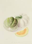 Le melon Romana (William Hooker) - Muzeo.com