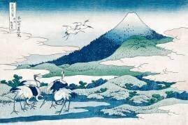 Les champs du hameau d'Umezawa dans la province de Sagami (Hokusai) - Muzeo.com