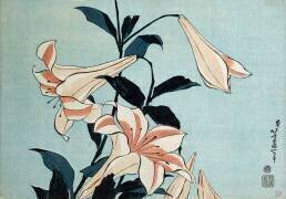 Lys trompette (Hokusai) - Muzeo.com