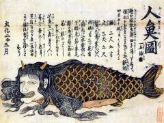 Mermaid (anonyme) - Muzeo.com