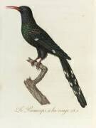 Oiseaux dorés ou à reflets métalliques (Jean Baptiste Audebert) - Muzeo.com