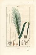 Orge (Pierre Jean Francois Turpin) - Muzeo.com
