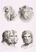 Planches 26 a et 26 b : deux têtes de lions et trois têtes d'hommes en relation avec le lion (Charles Le Brun) - Muzeo.com
