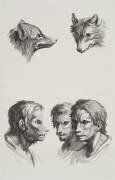 Planches 27 a et 27 b : deux têtes de loups et trois têtes d'hommes en relation avec le loups (Charles Le Brun) - Muzeo.com