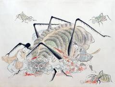 Tsuchigumo, 