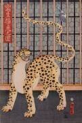Un tigre sauvage d'après nature (Utagawa Kunimaro) - Muzeo.com