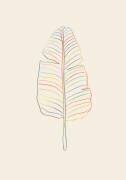 Banana Rainbow Leaf (1x Studio) - Muzeo.com