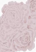 Bed of Roses (1x Studio II) - Muzeo.com