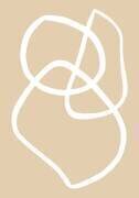 Beige Lines (1x Studio) - Muzeo.com