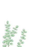 Branches (1x Studio) - Muzeo.com