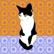 Chat sur les carreaux marocains (Claire Huntley) - Muzeo.com