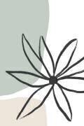 Fleur de menthe et crème (Anastasia Sawall) - Muzeo.com