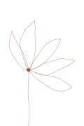 Fleur minimale (Anastasia Sawall) - Muzeo.com