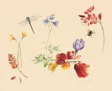 Fleurs et insectes d'automne (Alison Cooper) - Muzeo.com