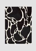 Giraffe Grey (1x Studio) - Muzeo.com