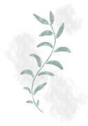 Jazzy Leaves (1x Studio II) - Muzeo.com