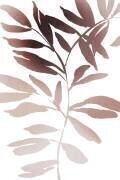 Jolies feuilles (Anastasia Sawall) - Muzeo.com
