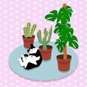 Le chat et les cactus (Claire Huntley) - Muzeo.com