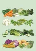 Légumes de saison au Royaume-Uni (Claire Huntley) - Muzeo.com