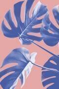 Monstera Purple 06 (1x Studio III) - Muzeo.com