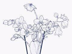 Orchidées (Léa Chounlamountry) - Muzeo.com