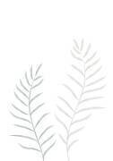 Pale Plants (1x Studio II) - Muzeo.com