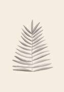 Palm Leaf Ink (1x Studio) - Muzeo.com