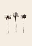 Palm Trees Ink (1x Studio) - Muzeo.com