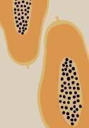 Papaya Fruit (1x Studio II) - Muzeo.com