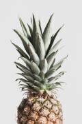 Pineapple Natural (1x Studio III) - Muzeo.com