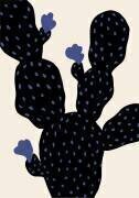 Prickle Pear Cactus (1x Studio) - Muzeo.com
