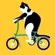 Un chat sur un vélo Brompton (Claire Huntley) - Muzeo.com