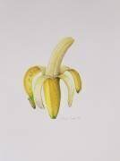 Une banane à moitié épluchée (Alison Cooper) - Muzeo.com