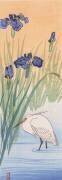 Aigrette (Ohara Koson) - Muzeo.com