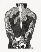 Anatomical study of a man's back muscles (Reijer Stolk) - Muzeo.com