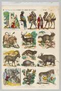 Animaux du jardin des Plantes (anonyme) - Muzeo.com