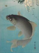 Carpe sous la glycine (Ohara Koson) - Muzeo.com