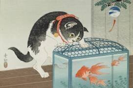 Chat et poisson rouge (Ohara Koson) - Muzeo.com