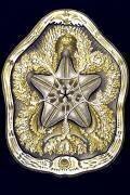 Clypeaster rosaceus (Ernst Haeckel) - Muzeo.com