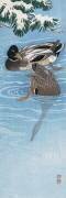 Deux canards sauvages dans l'eau (Ohara Koson) - Muzeo.com