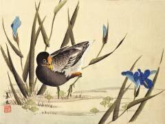 Echassier parmi les joncs (Ohara Koson) - Muzeo.com