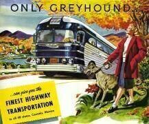 Entraîneur longue distance Greyhound (anonyme) - Muzeo.com