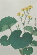Fleurs de feuilles d'argent japonaises (Ohara Koson) - Muzeo.com