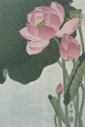 Fleurs de lotus en fleurs (Ohara Koson) - Muzeo.com