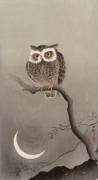 Hibou petit-duc sur une branche avec un croissant de lune (Ohara Koson) - Muzeo.com