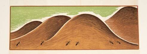 Illustration graphique tirée de Prométhée Enchaîné d'Eschyle (François-Louis Schmied) - Muzeo.com