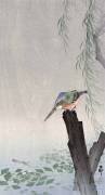 Martin-pêcheur sur une souche d'arbre (Ohara Koson) - Muzeo.com