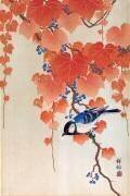 Mésange charbonnière sur une branche de Paulownia (Ohara Koson) - Muzeo.com